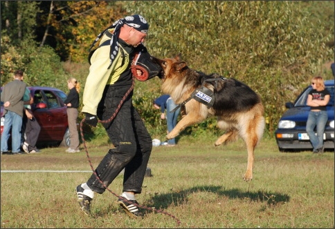 Training in Estonia 9/2007